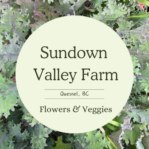 Sundown Valley Farm