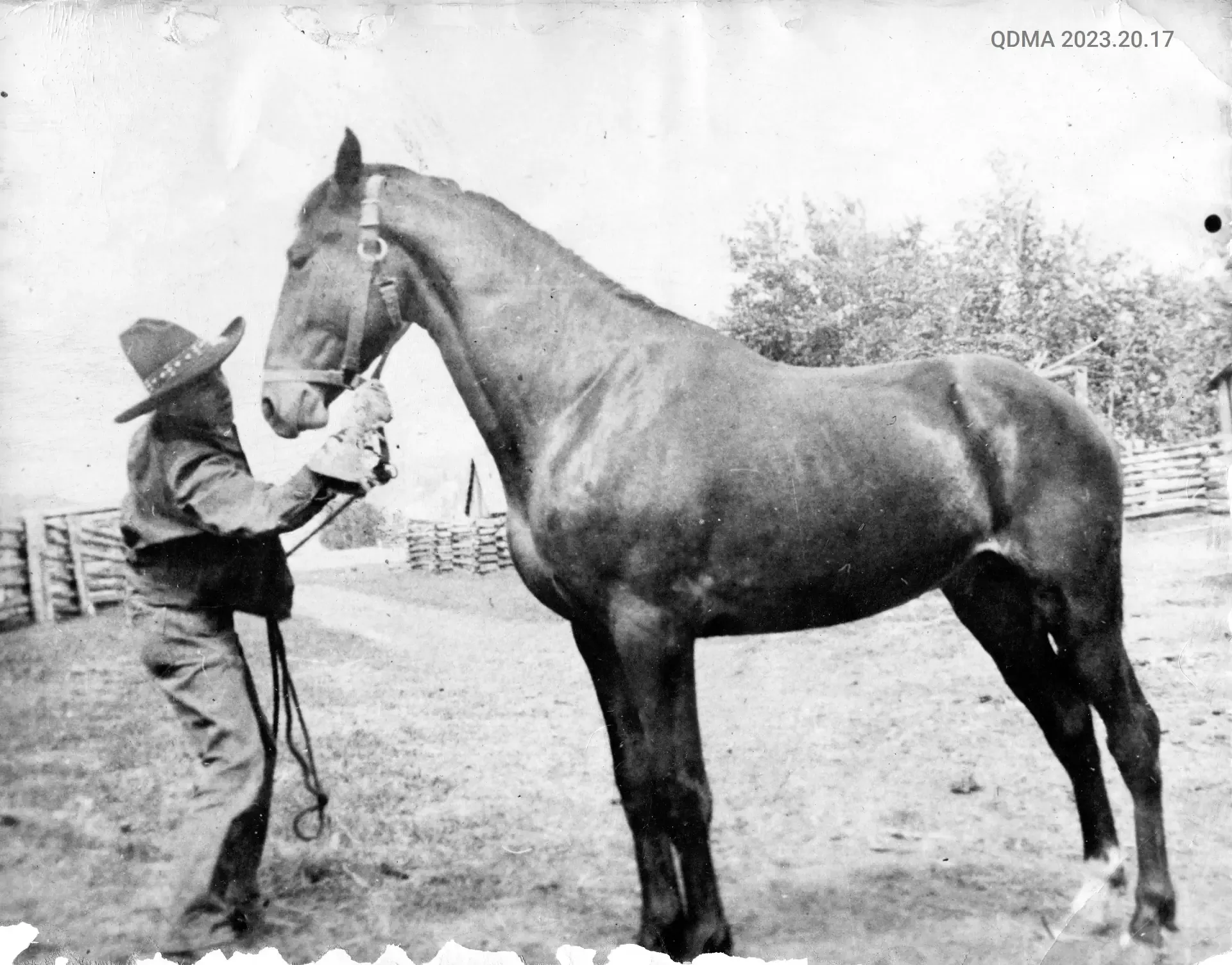 Charlie Twan on the Alexandria Homestead