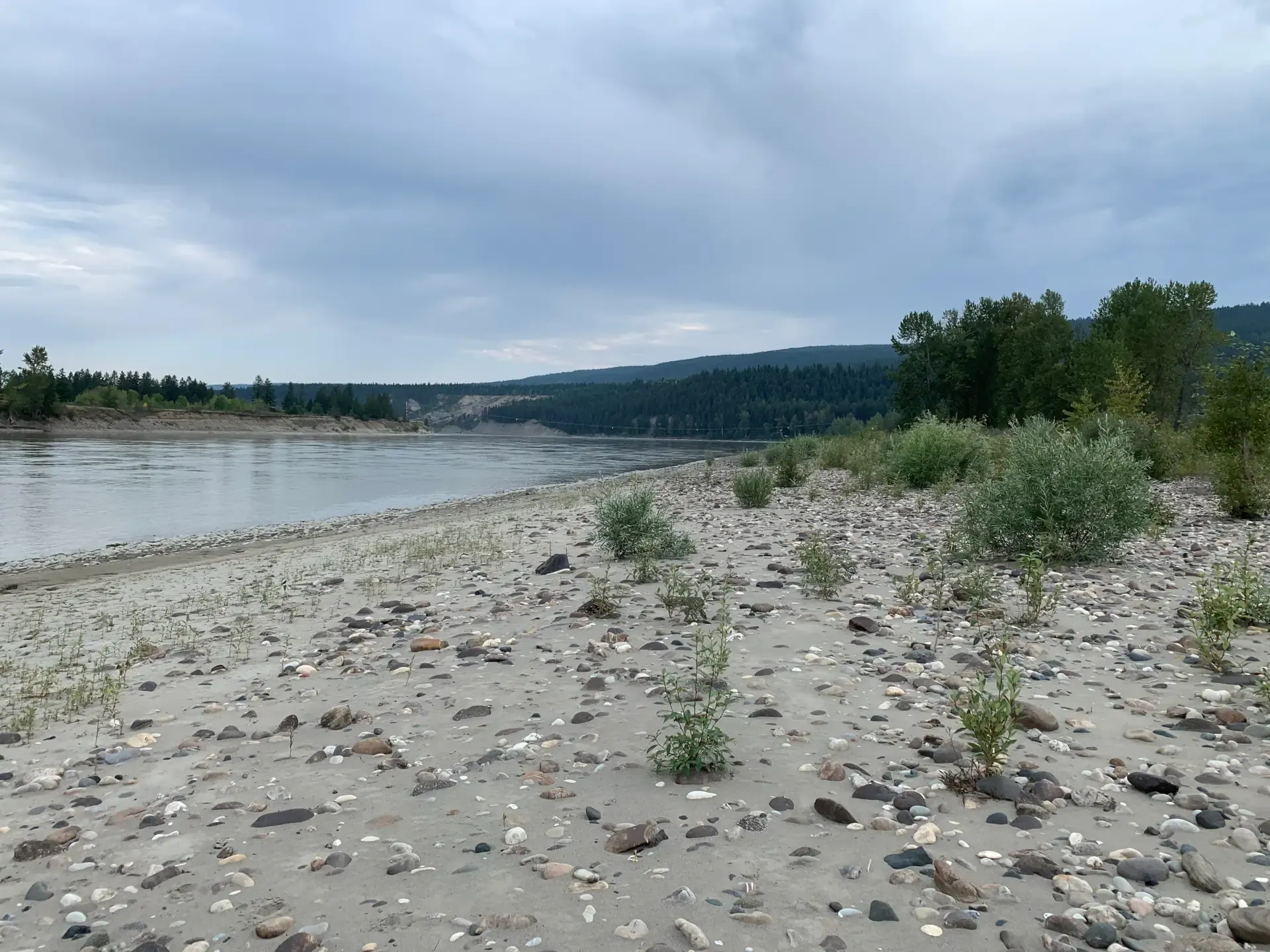 Fraser_River_-_west_side_along_L46.webp