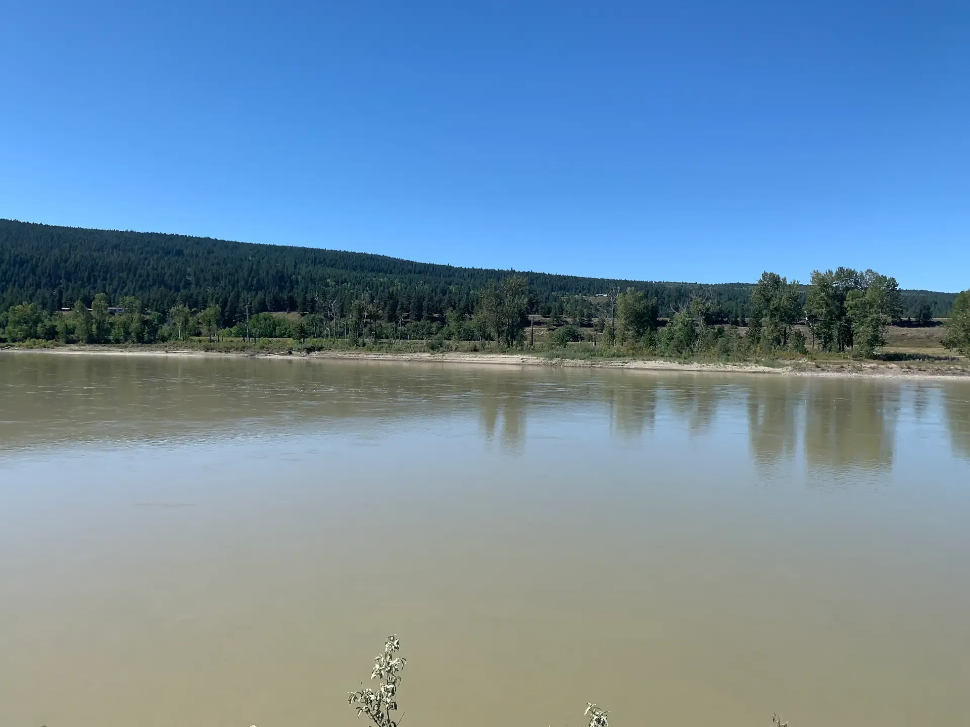 L46_looking_West_over_the_Fraser_River.webp