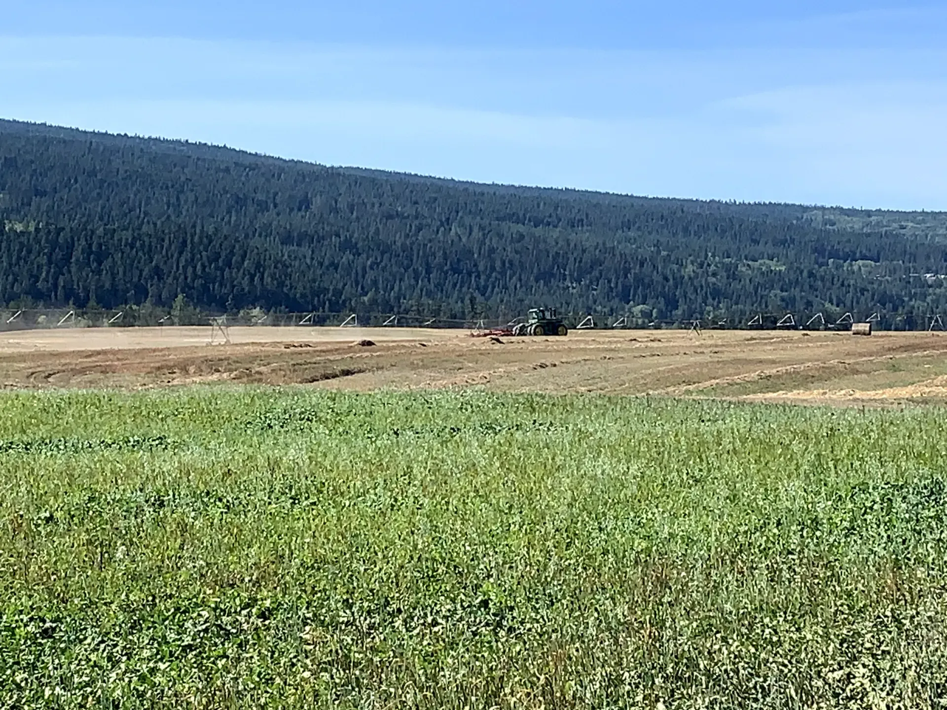 RPR_Wheat_and_Cover_Crop_foreground.webp