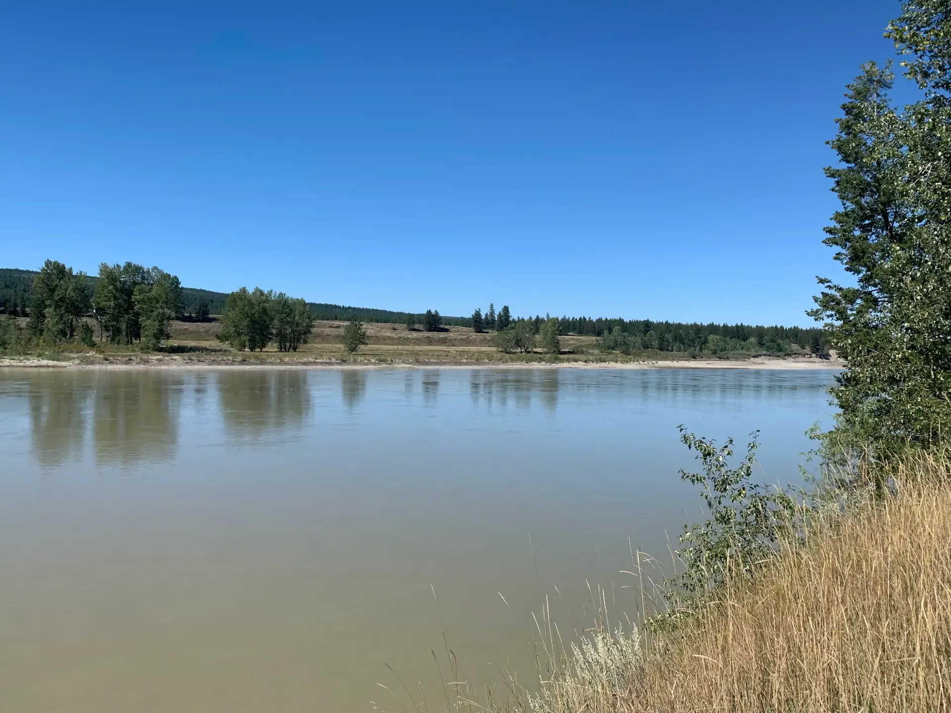 Looking_West_across_the_Fraser_River_at_L46-1920_.webp